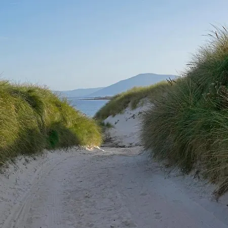 Daire Stripe Bay
