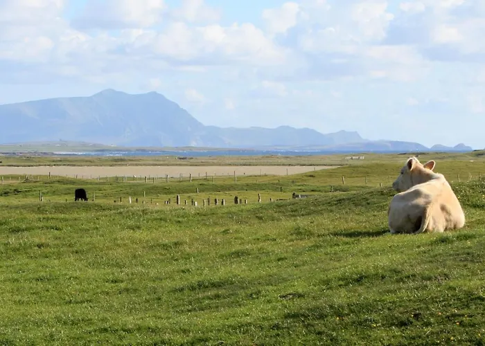 Stripe Bay Appartement
